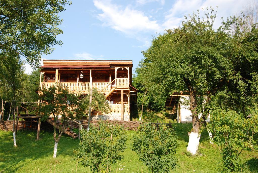 Pensiunea La Gorgan Vadu Izei Exterior photo