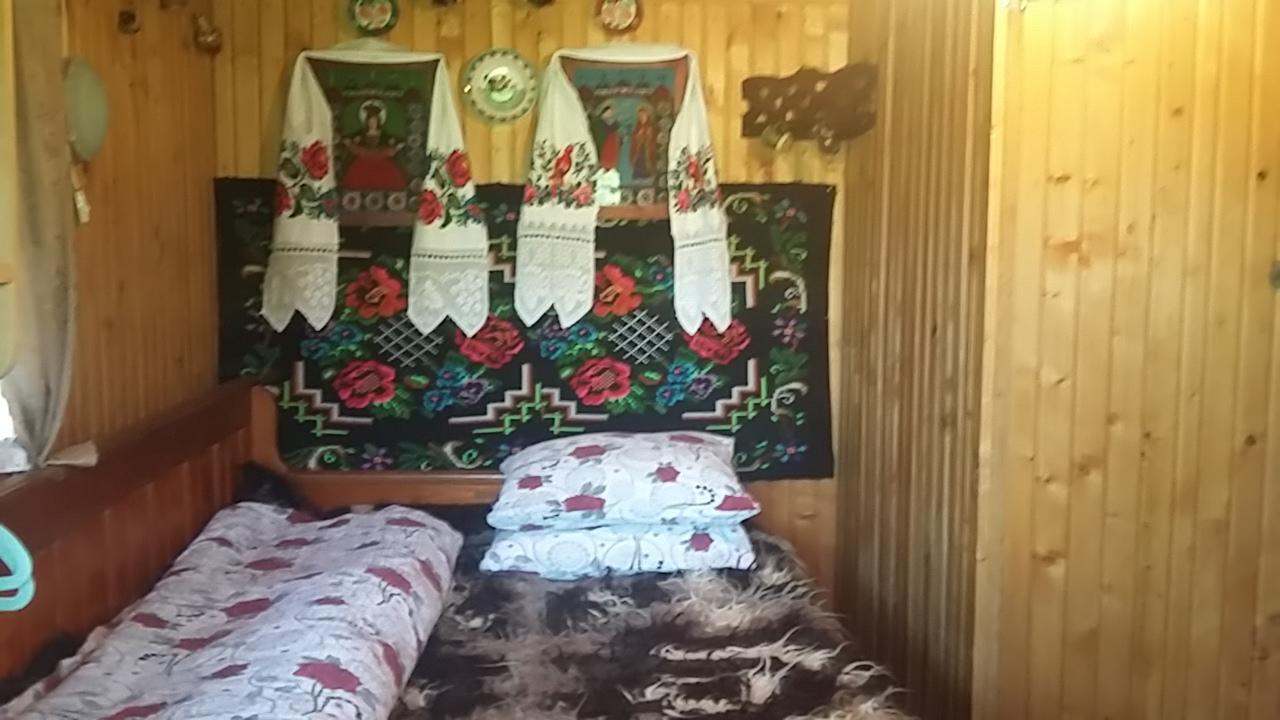 Pensiunea La Gorgan Vadu Izei Exterior photo